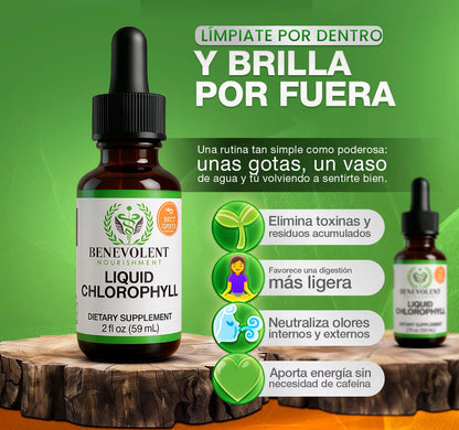 Clorofila líquida- Detox Pulmonar para Eliminar Toxinas, Flema y Alquitrán OFERTA ESTE MES 👩🏻⚕️