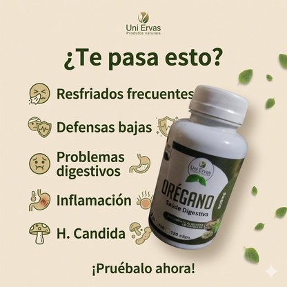 ACEITE DE OREGANO EN CAPSULAS 💊