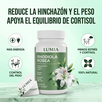 Rhodiola Rosea | Reduce Hinchazón y Apoya la Pérdida de Peso - OFERTA 2X1