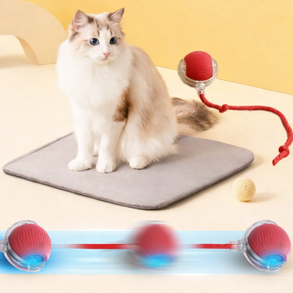 🥎 Pelota Inteligente Interactiva para Gatos🐱