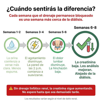 Aélia™ - Fórmula para Riñones y Drenaje Linfático Renal