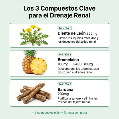 Aélia™ - Fórmula para Riñones y Drenaje Linfático Renal