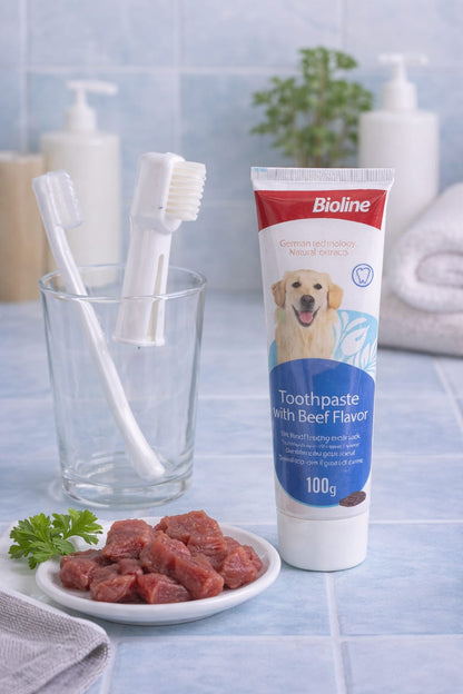 Kit Dental Care Cepillos Y Pasta Dental Para Perros🐶