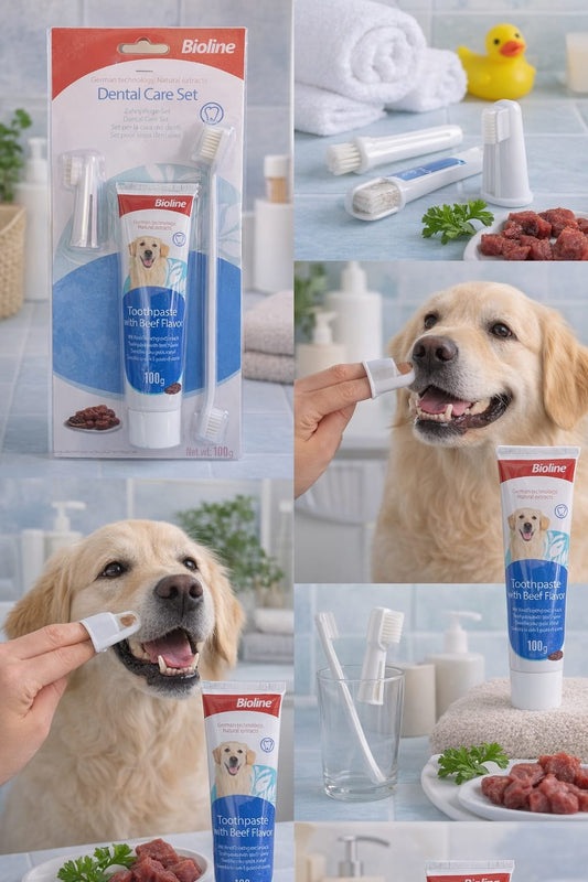 Kit Dental Care Cepillos Y Pasta Dental Para Perros🐶