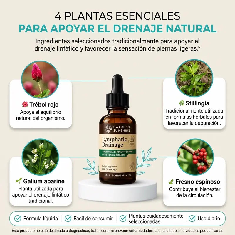 Lymphatic Drainage: Ligereza Desde la Primera Semana